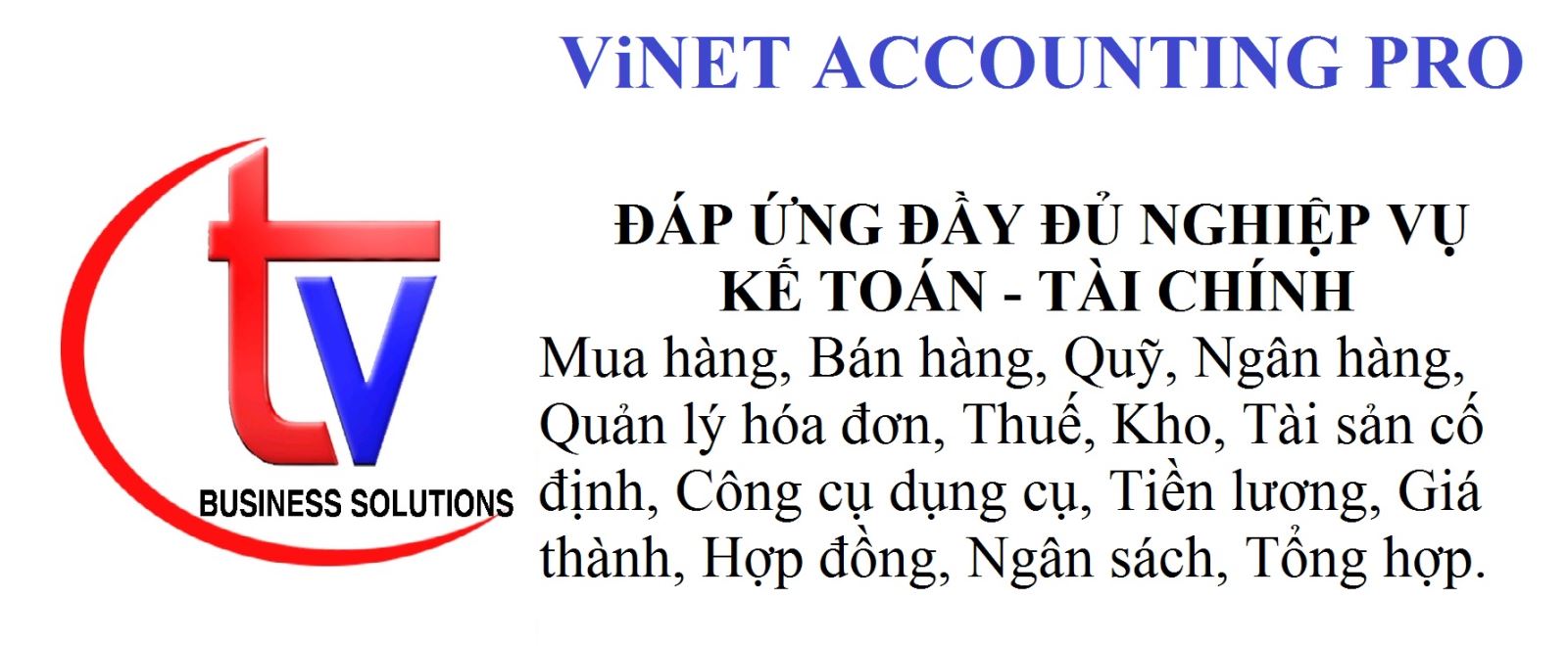 ViNet Accounting Pro
